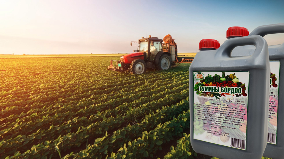 ГУМИНЫ БОРДОО